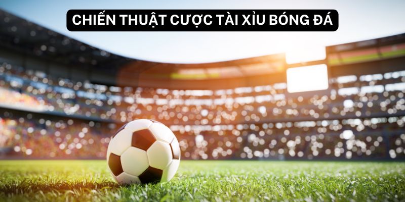 Chiến thuật cược tài xỉu bóng đá