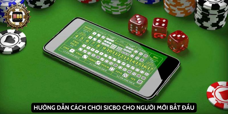 Hướng dẫn cách chơi sicbo cho người mới bắt đầu