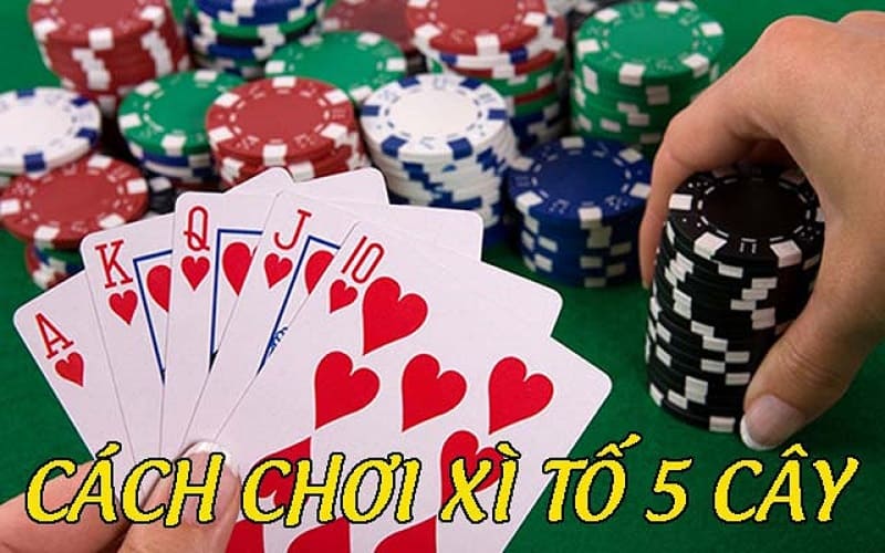 Tổng quan về trò chơi xì tố 5 cây